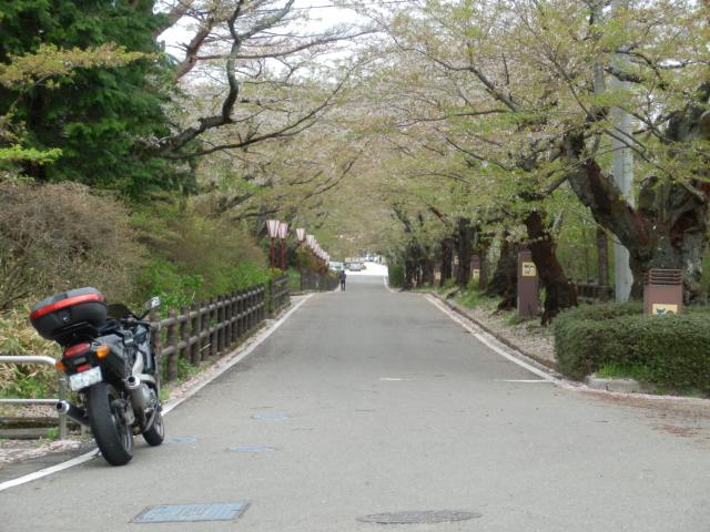 P5050032.jpg