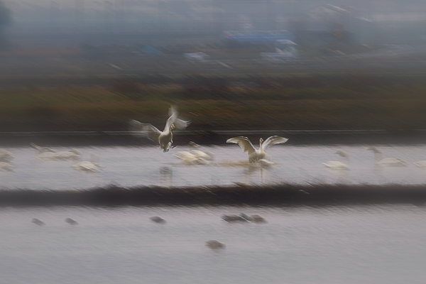 D3X_1340_2014020507493373a.jpg