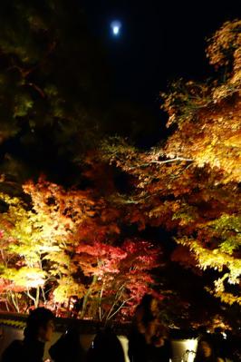 DSC00089.jpg