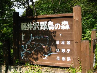 IMG_2804.jpg