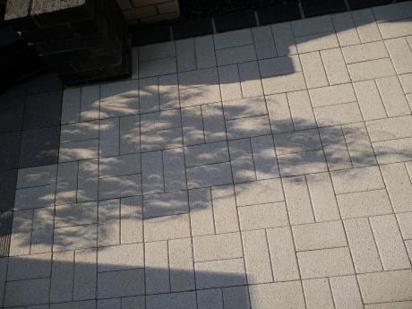 クリックで拡大します^^
