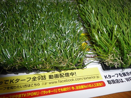 画像の転載および使用は固くお断り致します