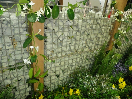 画像の転載および使用は固くお断り致します