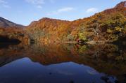_MG_28354.jpg
