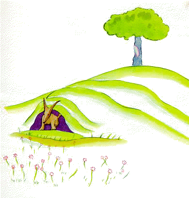 image005.gif