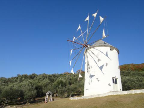 DSC05085_R.jpg