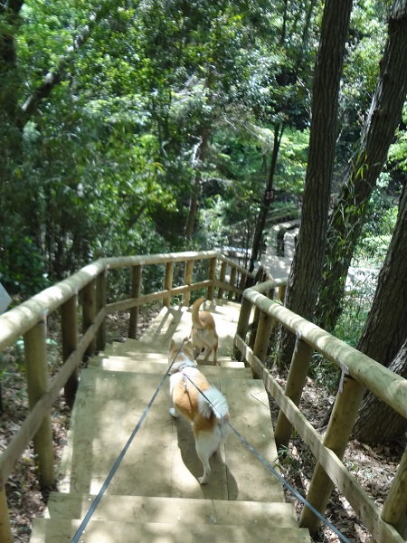 生田 (2)