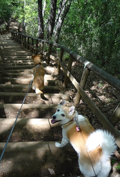 生田 (5)