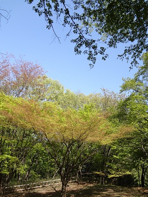 生田 (6)