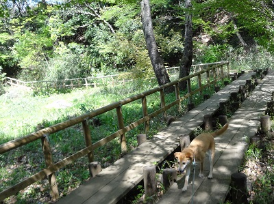 生田 (7)
