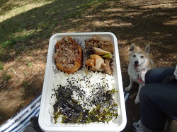 生田 (9)