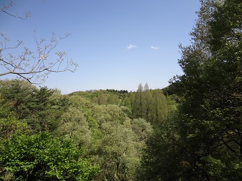 生田 (13)