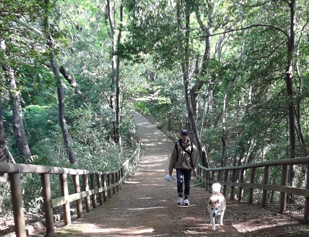 生田 (14)