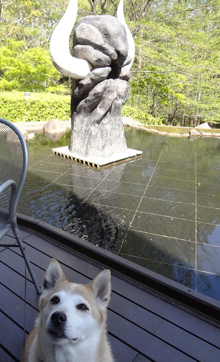 生田 (16)