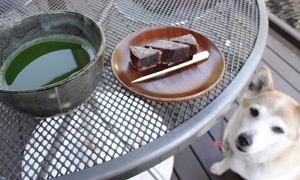 生田 (17)