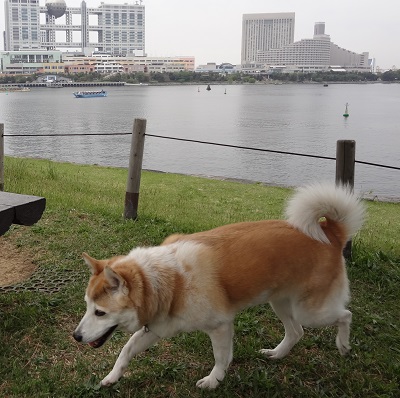 台場 (1)
