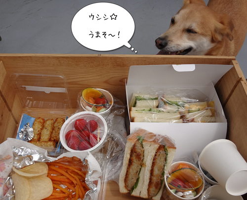 屋上