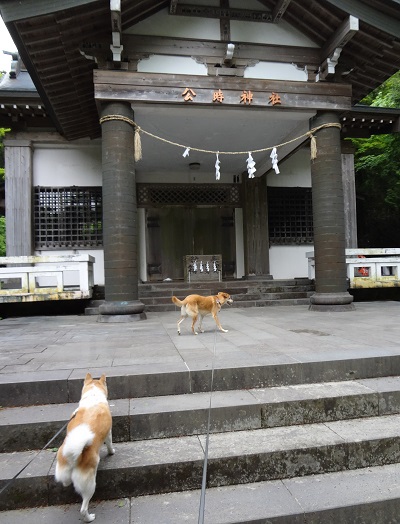 箱根5 (6)