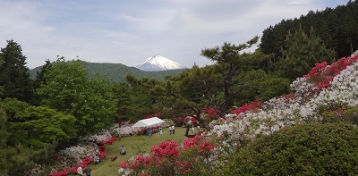 0519 (2)