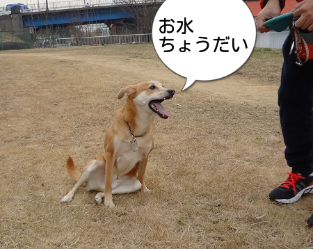 洗髪4
