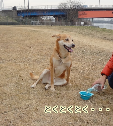 洗髪5