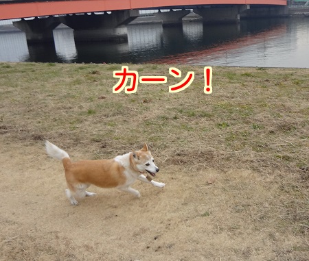 洗髪6
