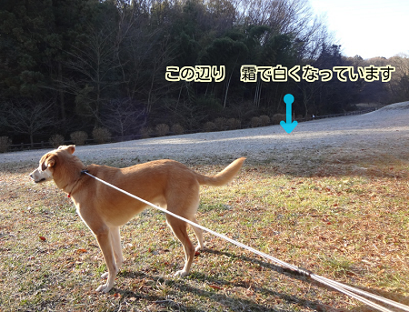 伊豆1日目9