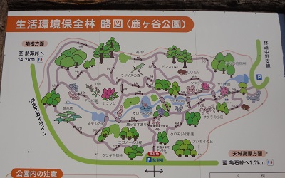 伊豆1日目 (11)