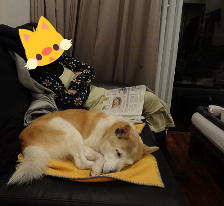 伊豆1日目8
