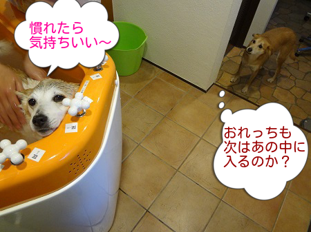 2日目