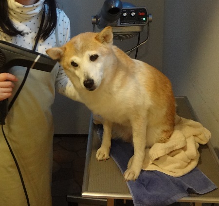 2日目10