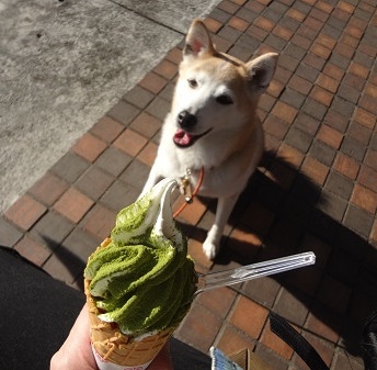 3日目 (2)