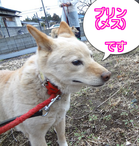 さんぽ3
