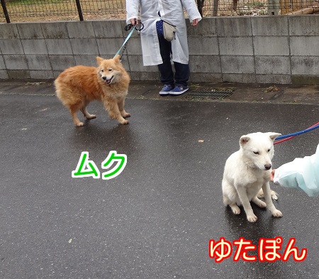 さんぽ9