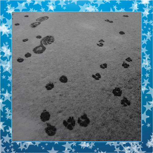 雪2