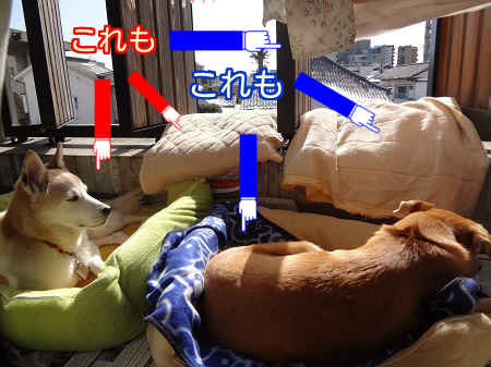 お芋