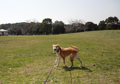 DSC00205.jpg