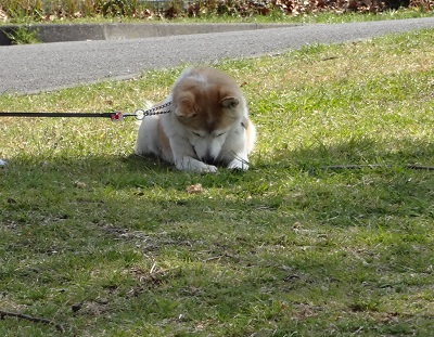 DSC00206.jpg