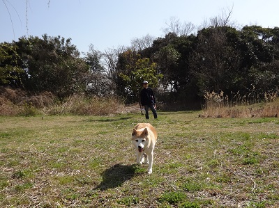 DSC00225.jpg