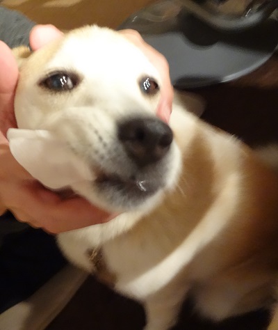 DSC00261.jpg