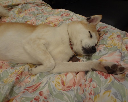 DSC00536.jpg