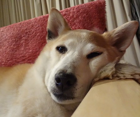 DSC00735.jpg