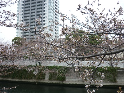 P1050186.jpg