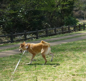 P1050236.jpg