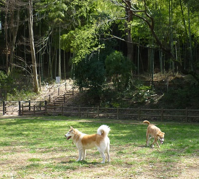 P1050244.jpg