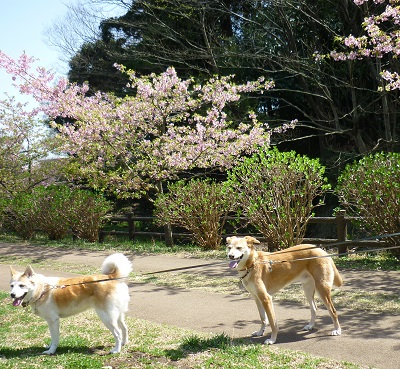 P1050261.jpg