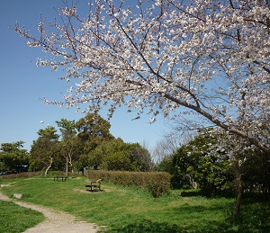 P1050269.jpg