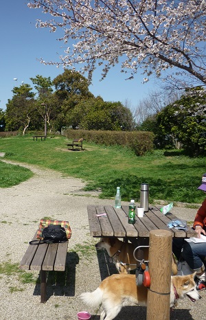 P1050270.jpg