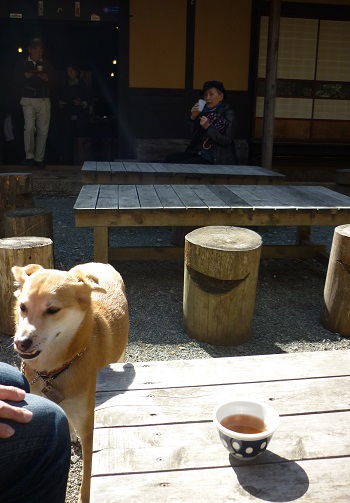 P1050287.jpg