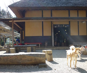 P1050291.jpg